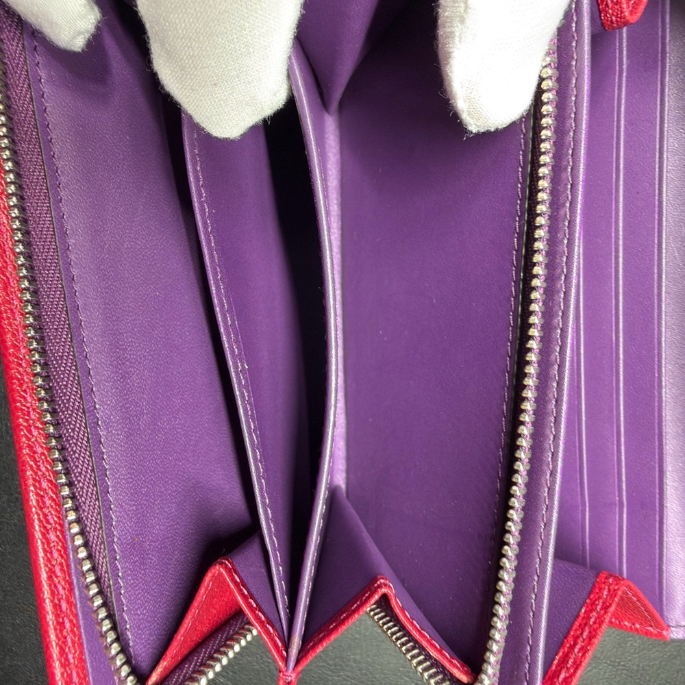 Loewe Amazona Wallet - Picture 13 of 16